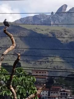Hostel do Mirante - Ouro Preto - 9