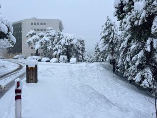 Les Glovettes pieds des pistes - Villard-de-Lans - 8