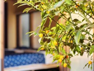 House near Shinjuku with parking & courtyard - Tokyo - 4