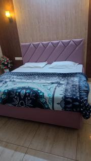 a cozy and luxury villa - Bathinda - 4