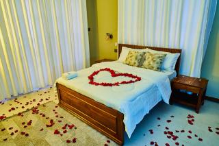 Birds of Paradise Homes 2 - 3