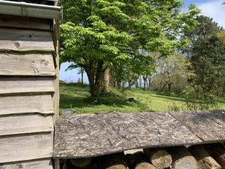 Bream Barn - sea view, woodburner, easy walk to the beach, parking, full kitchen - 4