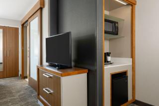 SpringHill Suites by Marriott Wisconsin Dells - 2