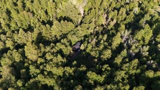 Hermosa cabaña en bosque nativo - 9