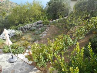 Il Nettare - Riomaggiore - 2