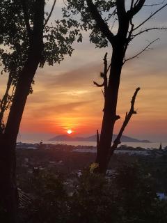 Casa da Árvore com visual para o mar e Ilha Campeche - Florianópolis - 6