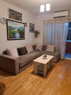 Sunrise apartment - Podgorica - 9
