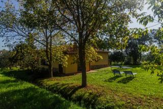 Villa Bel Giardino - Gavorrano - 8