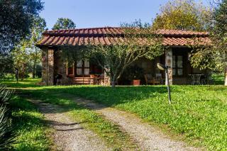 Villa Bel Giardino - Gavorrano - 4