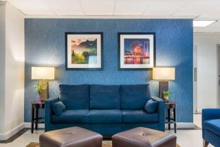 Comfort Inn Alpharetta-Atlanta North - Alpharetta - 1