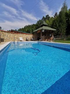Vila "Mali RAJ" - Užice - 9