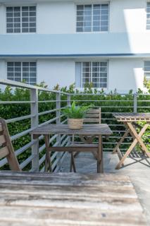 Agave on the Beach - 8