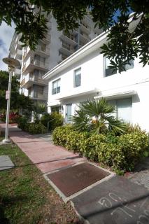 Agave on the Beach - 3