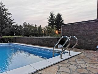 Vila "Mali RAJ" - Užice - 8