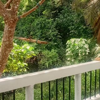 Daasa Guest Mirissa - 7