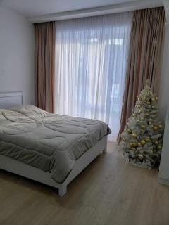 Bakuriani 4rest , X2 Development - Bakuriani - 9