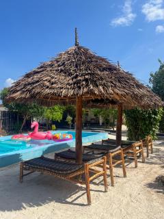Tribe Bungalows, Bwejuu, Zanzibar - Bwejuu - 8
