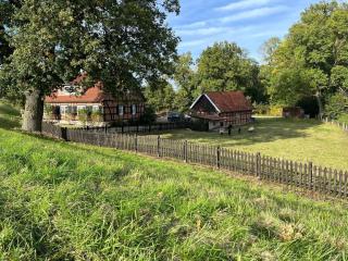 Ferienhaus "Elbrose" inmitten von Rosen mit direktem Zugang zum Elbdeich - 7