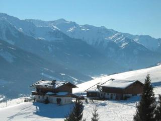 Appartement Lemberger - Biohof Stallfeld - Hollersbach im Pinzgau - 0