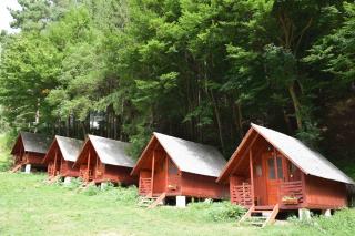CABANUTE si CAMPING DRACULA - Căpăţîneni-Pămînteni - 8