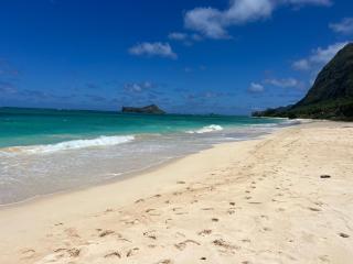 A Cottage in Tropical Paradise - Waimanalo - 7