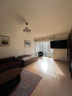 Cosy apartment in Vilnius - 7