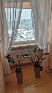 Садиба Святослав - Skhidnitsa - 5