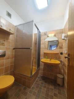Ferienhaus-Schönwald im Herzen des Schwarzwaldes 2-Zimmer mit Terrasse und Whirlpool App15 - Schönwald - 3