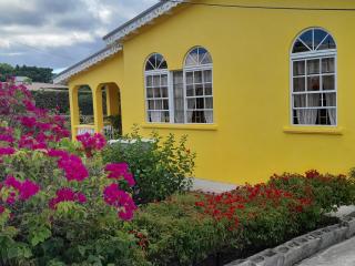 Spectacular Ocean View Retreat - Saint James - 4