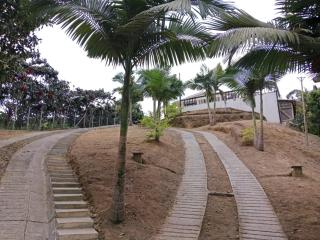 Finca la mariana - 6