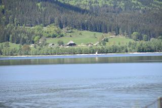 Haus Waldvogel - Schluchsee - 4