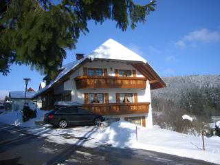 Haus Waldvogel - Schluchsee - 9