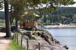 Haus Waldvogel - Schluchsee - 2