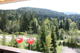 Alpendohle - Reit im Winkl - 1