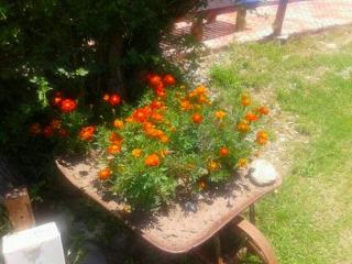 La Calandria Chalets - Merlo - 1