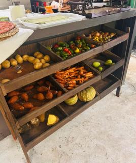 Serendipity Holistic Resort Spa - Kingston - 8