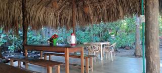 El Viejo del Mar - 3