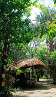 El Viejo del Mar - 8