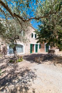 Es Coll d'en Pastor - Fornalutx - 6