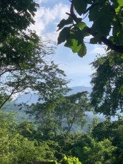 Enchanted Villa - Kandy - 6