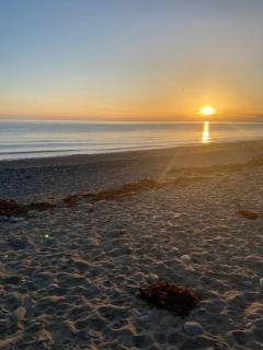The Marine Hotel - Criccieth - 4