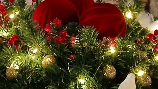 Pandion Luxury Boutique Hotel & Suites with Spa - 2