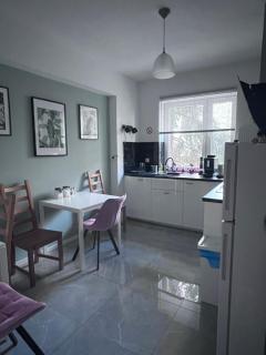Apartamenty Pokoje Willa Bielany - 2