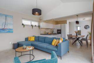 Neue und hundefreundliche Villa mit Panorama-Meerblick, Privatpool, Grillbereich, Babybett, Waschmaschine - Višnjan - 3