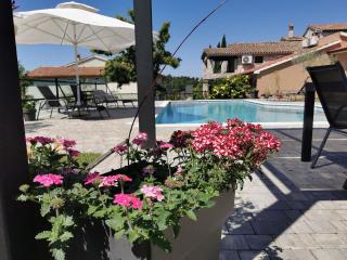 Traumhaftes Apartment mit Salzwasserpool, Willkommendrink, Grillbereich - bei Rovinj - Pajkovići - 7