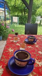 Apartmani Garic - Veliko Gradište - 6