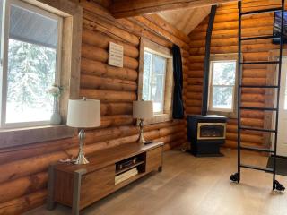 Lofted log cabin with fire table - Kelowna - 2