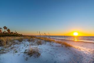 3 Palms Retreat - Clearwater Beach - 7