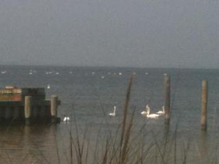 Chill Fire Island Beachfront Cottage with Amazing Bay and Sunset Views, Perfect Location in Fair Harbor - 4