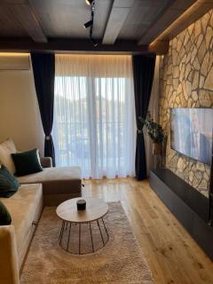 Apartment Queen 735 - Zlatibor - 5